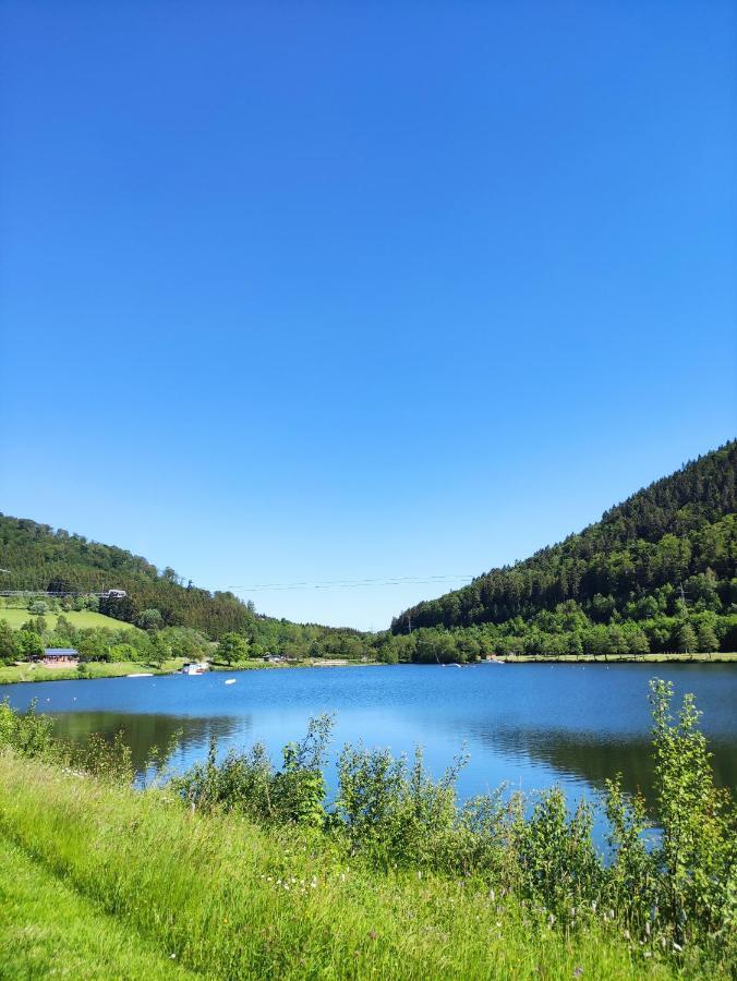 Zentrale und gemütliche Ferienwohnung in Winterberg nah an der Natur Exterior foto