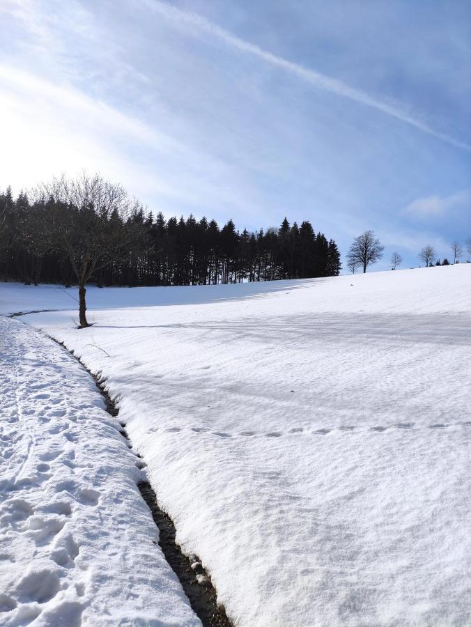 Zentrale und gemütliche Ferienwohnung in Winterberg nah an der Natur Exterior foto